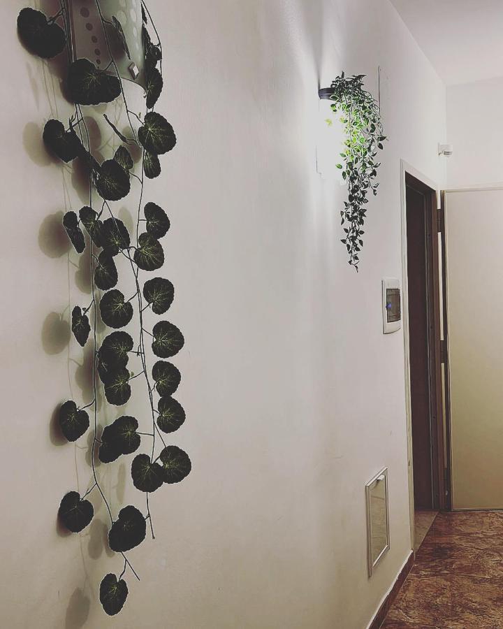 בארי Esperanto B&B מראה חיצוני תמונה